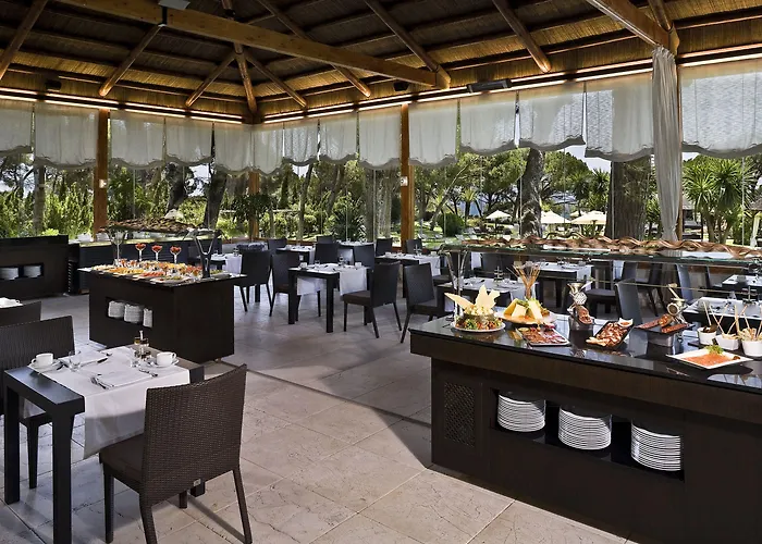 Отель Don Pepe Gran Melia 5*